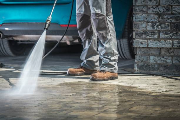 Best Warehouse Cleaning  in Parkston, SD